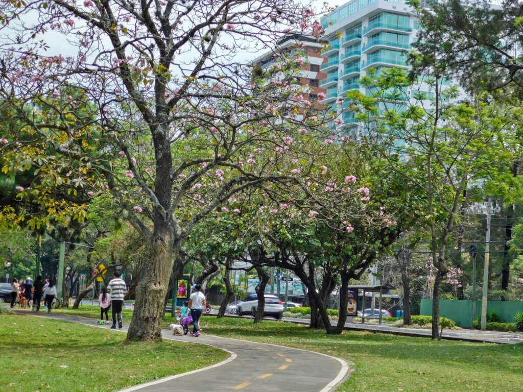 Espacios verdes y jardines terapéuticos: Hogares geriátricos en Medellín que conectan con la naturaleza para promover la salud y el bienestar.