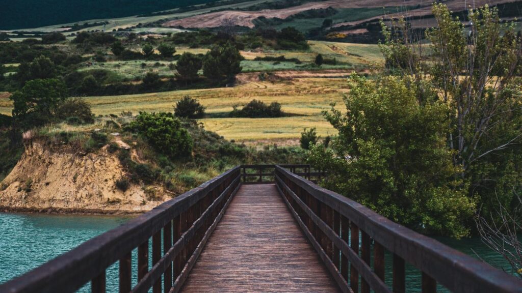 La naturaleza en Hogares Geriátricos de Medellín: Terapia verde para nuestros mayores