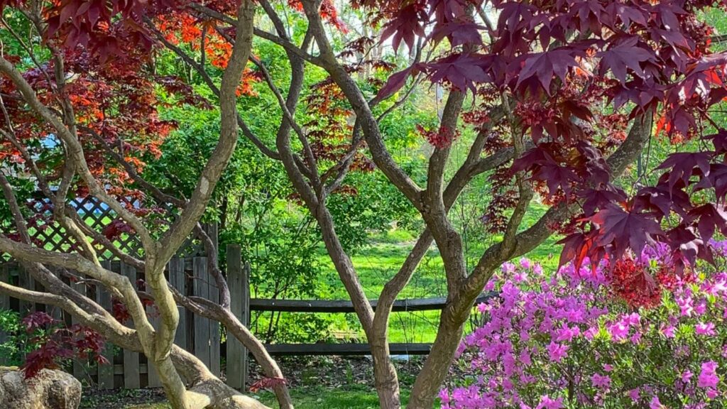 Ecos de Bienestar en Medellín: Belén Cerro Nutibara, Hogar Geriátrico que Transforma la Experiencia del Envejecimiento