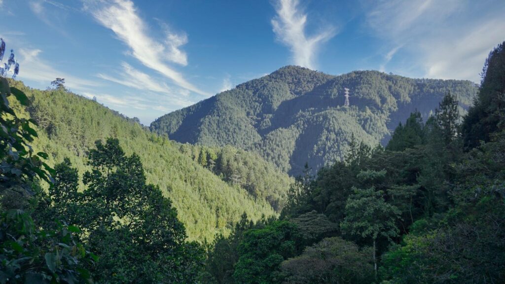 San Joaquín Medellín: El hogar ideal para una vejez feliz.