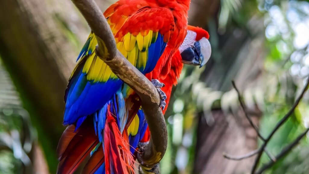 Olvídate de las preocupaciones: San Joaquín Medellín te ofrece un oasis de paz para tu ser querido.