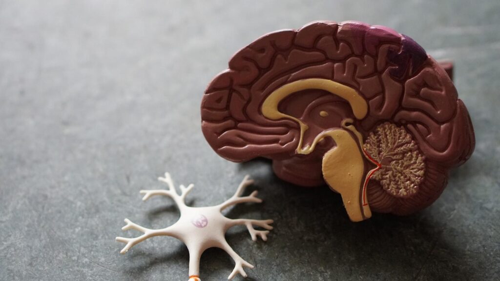 El Alzheimer: una enfermedad que no tiene cura, pero sí tratamiento.