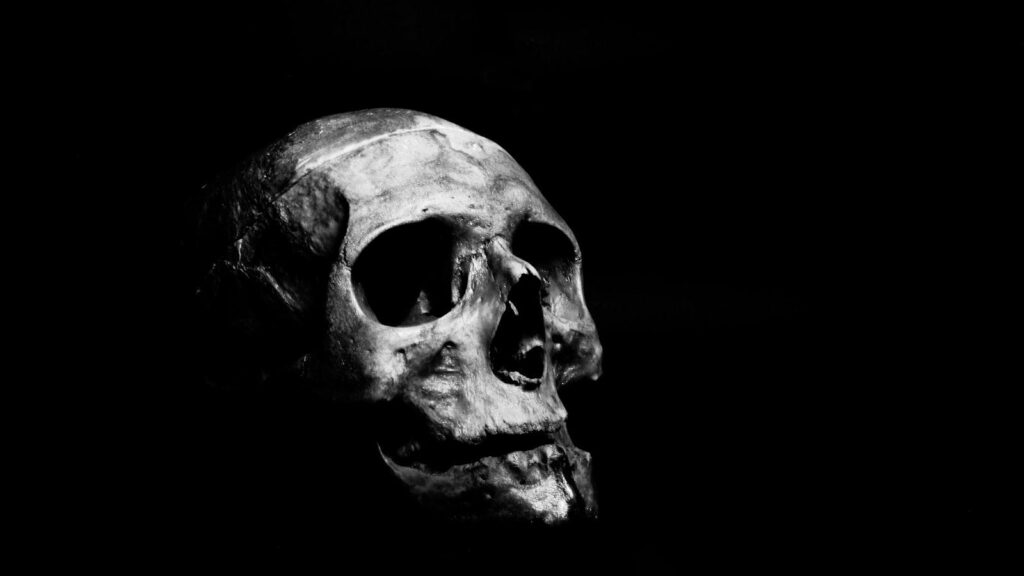La muerte: un proceso natural que debemos afrontar con serenidad.