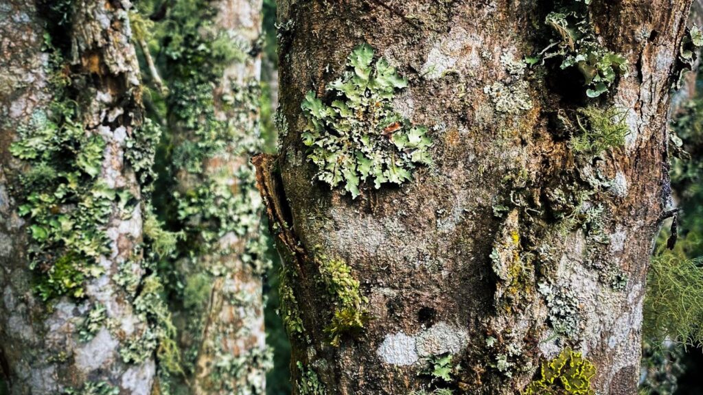 La Aventura de la Presión Arterial en Medellín: Descubre Hogares Geriátricos de Calidad