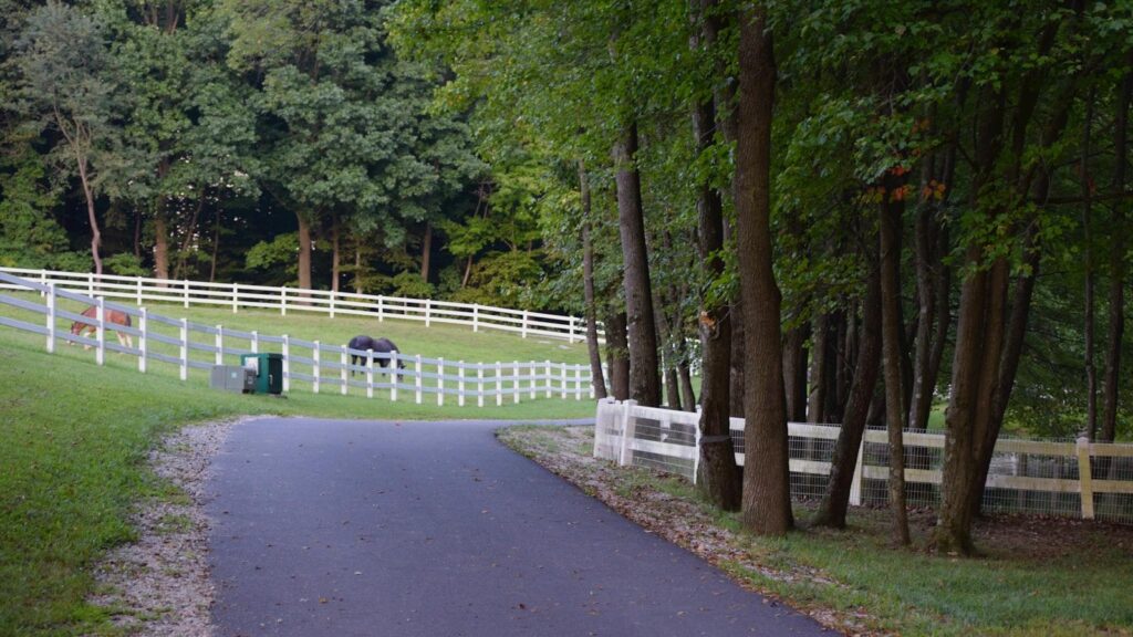 Comparativa de programas de rehabilitación física para diabéticos en la tercera edad.
