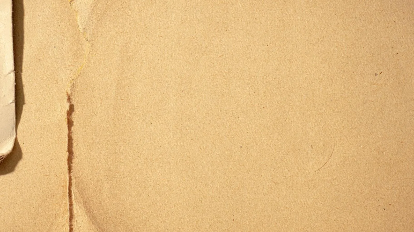 Papel de la nutrición y hábitos saludables en la prevención de complicaciones