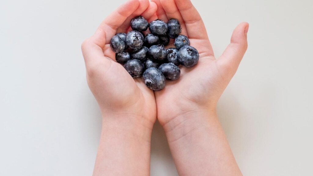 Guía de nutrición específica para pacientes con colitis ulcerosa en hogares geriátricos de Medellín.