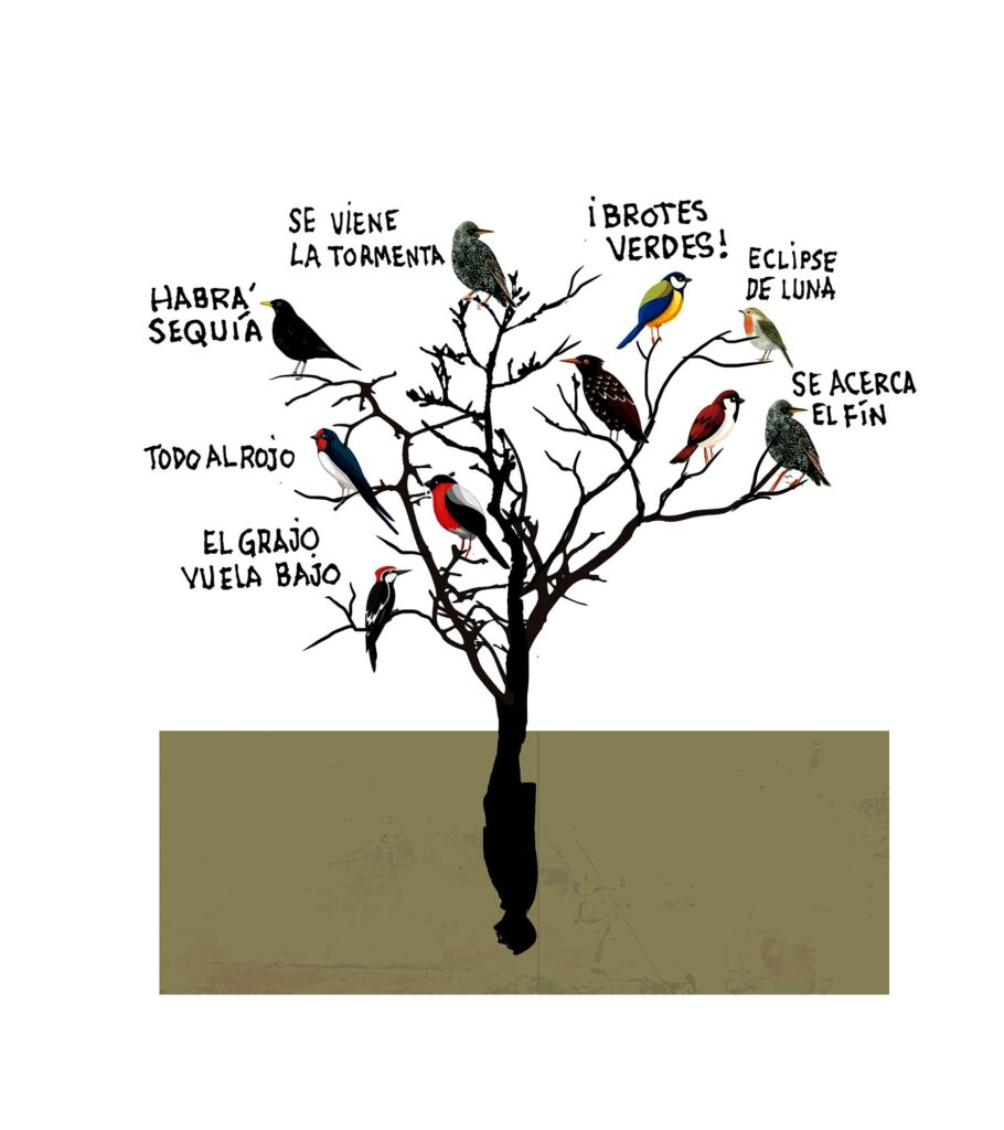 Lo que dicen los expertos sobre la importancia de las actividades grupales en los hogares geriátricos de Medellín