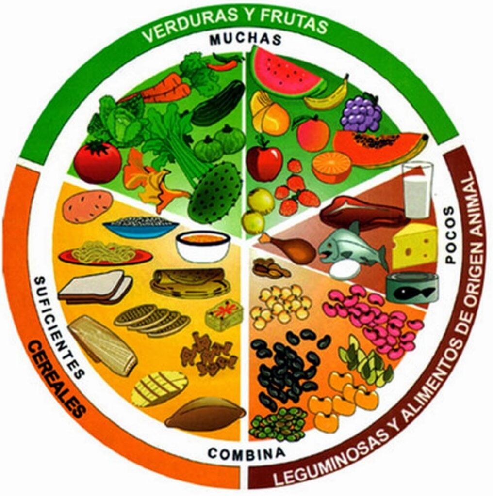 ¿Sabías que una dieta rica en antioxidantes puede mejorar la salud cognitiva en la tercera edad?