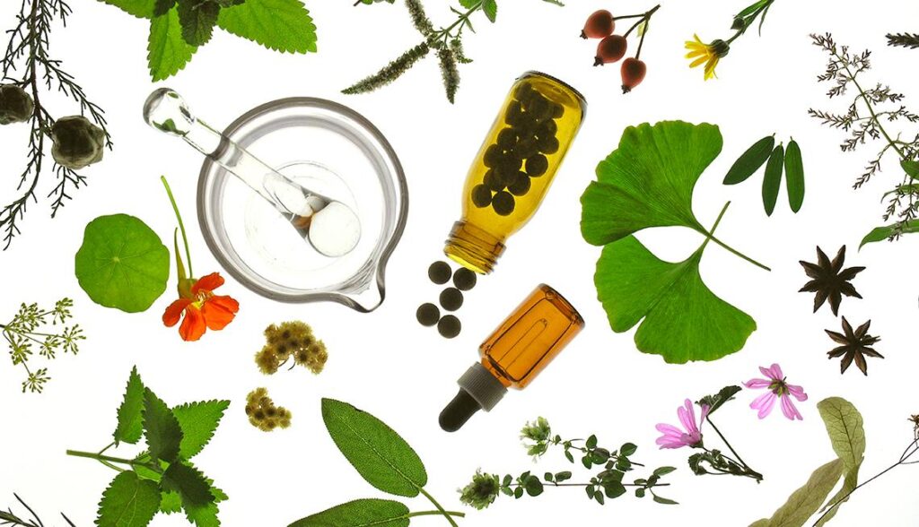 Plantas curativas que ayudan a aliviar el dolor en la tercera edad