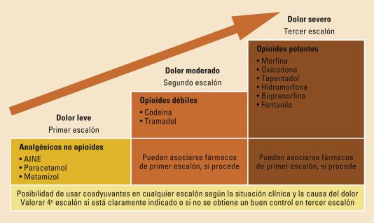 La verdad oculta detrás de los mitos sobre el tratamiento del dolor en adultos mayores