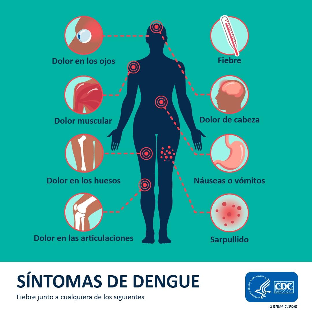 Síntomas y causas del dolor de espalda en adultos mayores