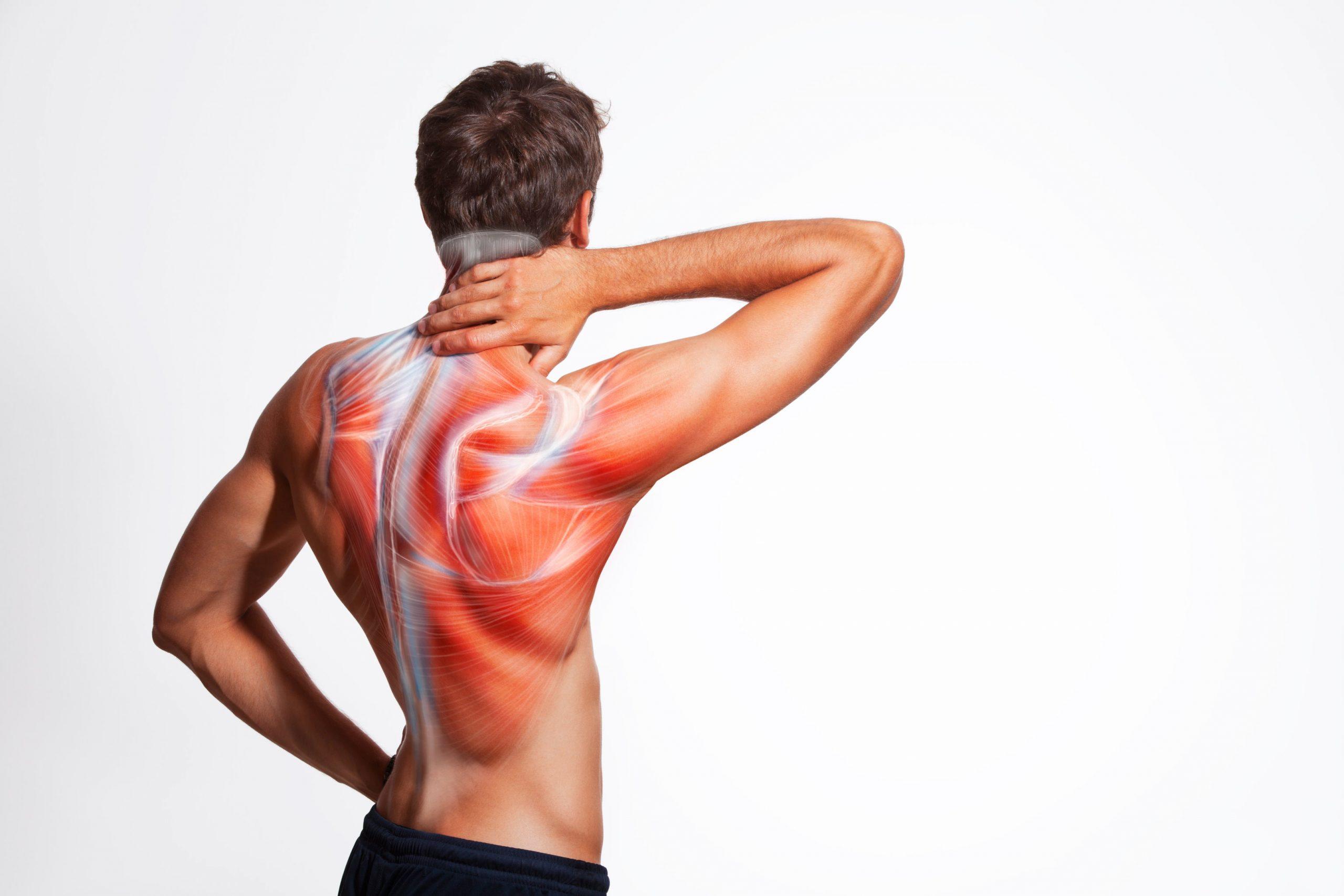 Tips para aliviar el dolor muscular en personas de la tercera edad