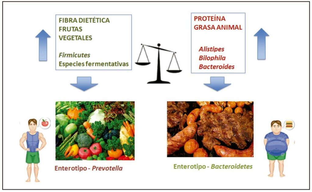 Los estudios muestran que una dieta rica en fibra mejora la digestión en la tercera edad