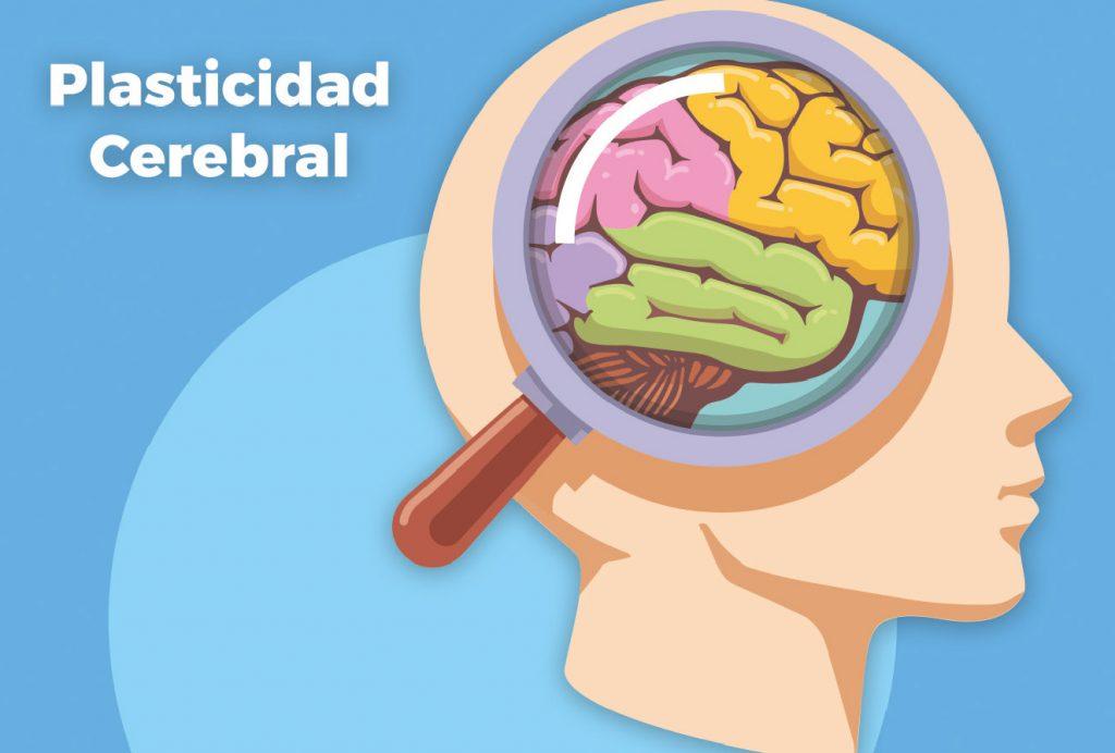 «Plasticidad cerebral después de los 90: casos documentados en Sonríe a la Vida»