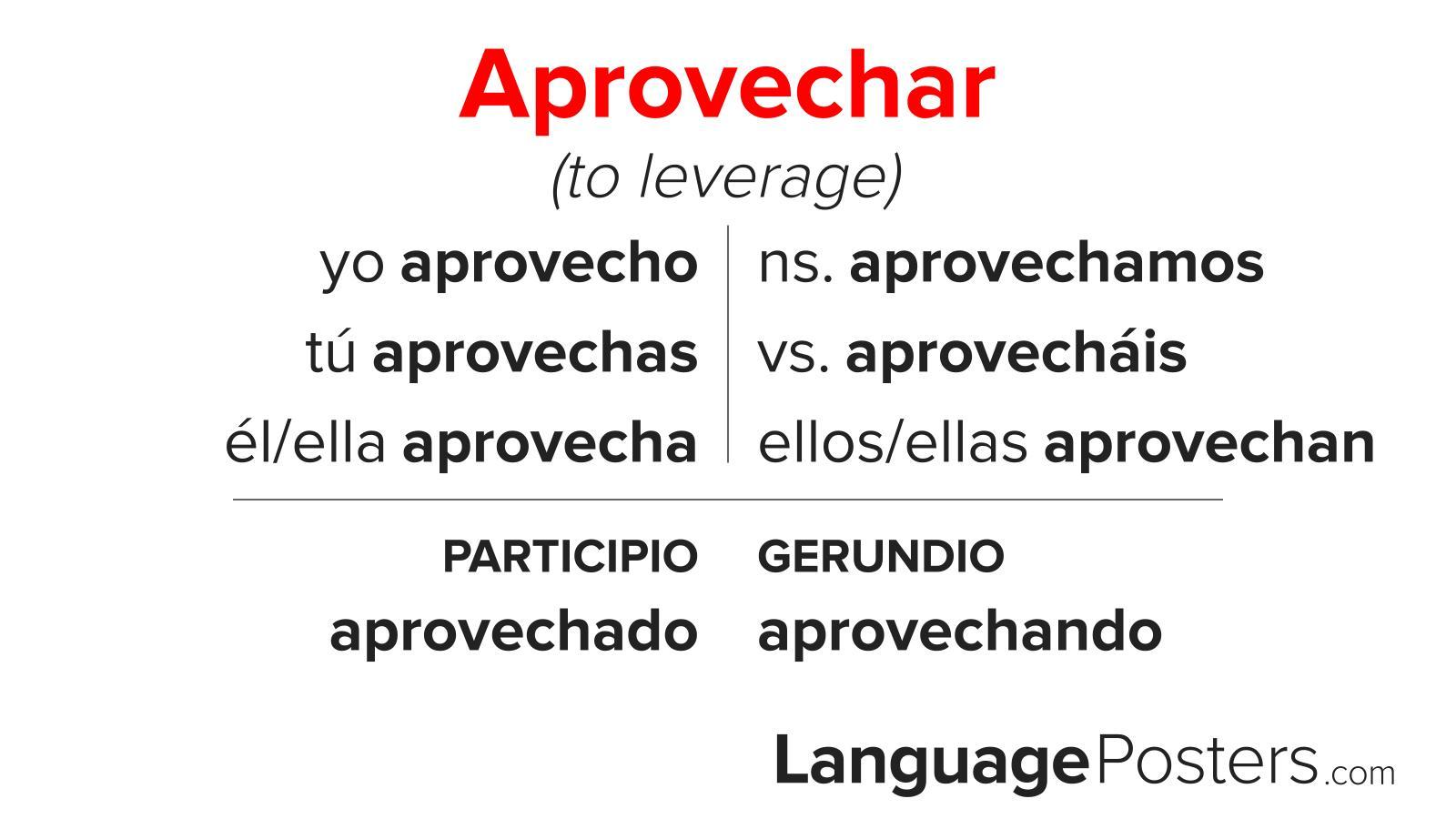 Cómo aprovechar al máximo los momentos óptimos del día