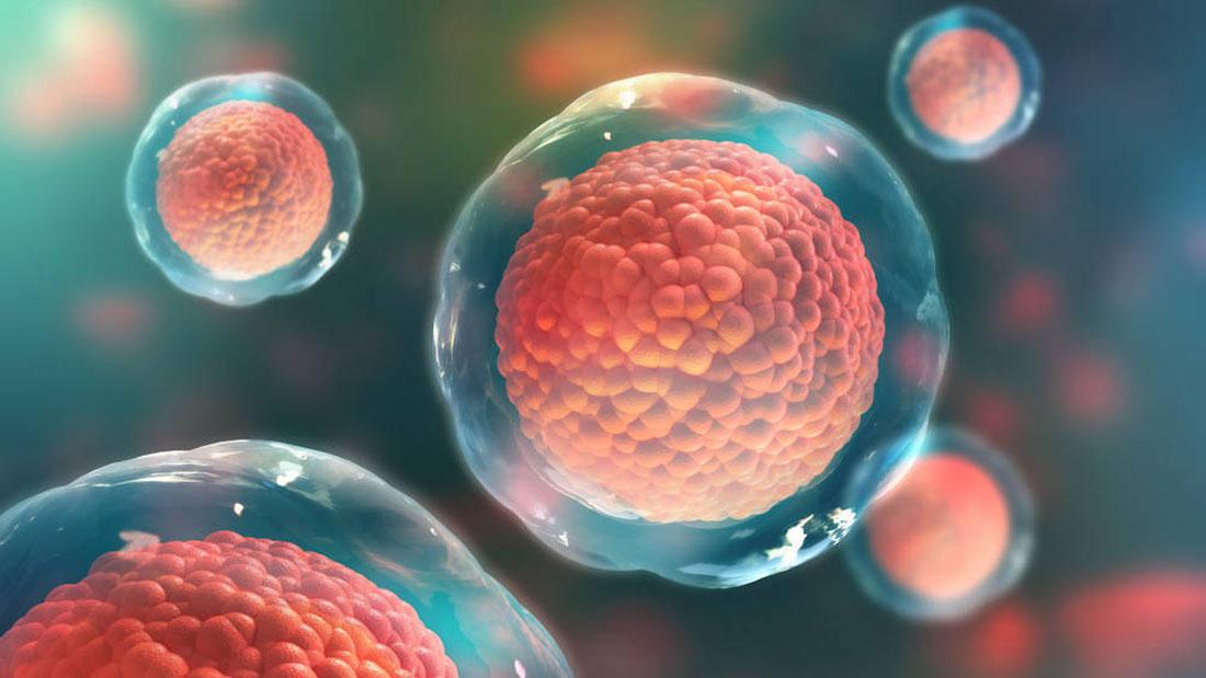 La influencia de la inflamación silenciosa en la calidad de vida