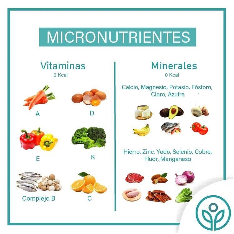 «Micronutrientes críticos: la diferencia entre mantenimiento y deterioro»