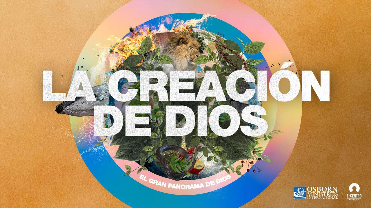 Creación de un sentido de identidad colectiva a través de experiencias históricas