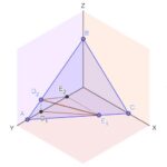 «Sistema de pertenencias: organización práctica de objetos personales»